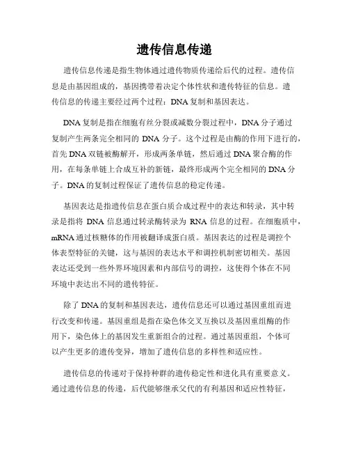 遗传信息传递