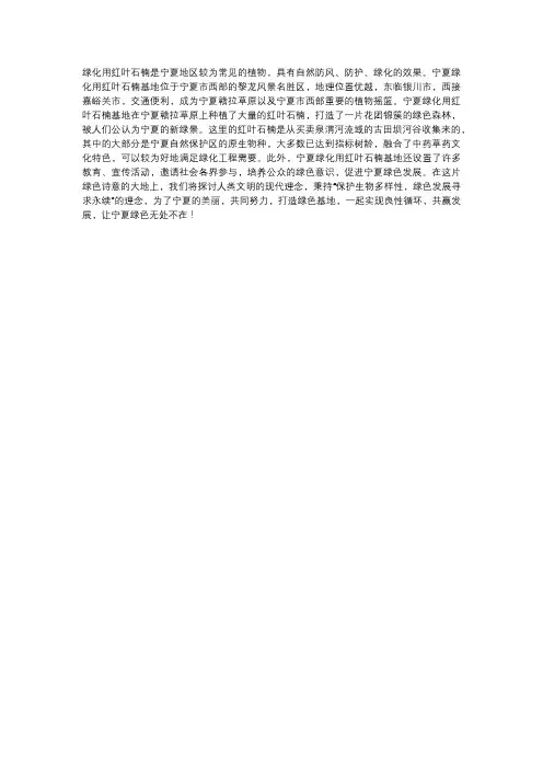 宁夏绿化用红叶石楠基地
