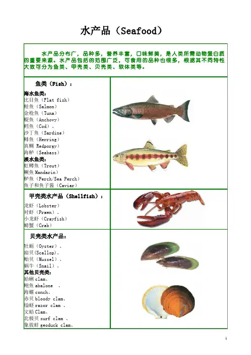 seafood known资料