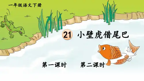 部编版一年级语文下册第21课《小壁虎借尾巴》优秀课件【最新】