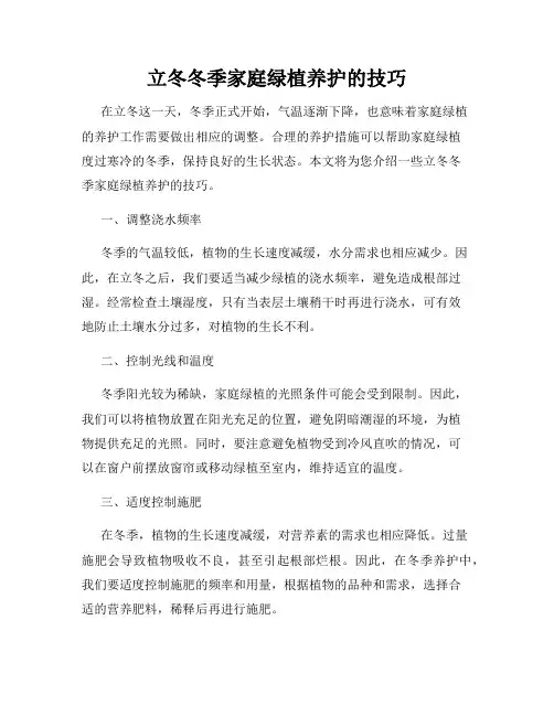 立冬冬季家庭绿植养护的技巧