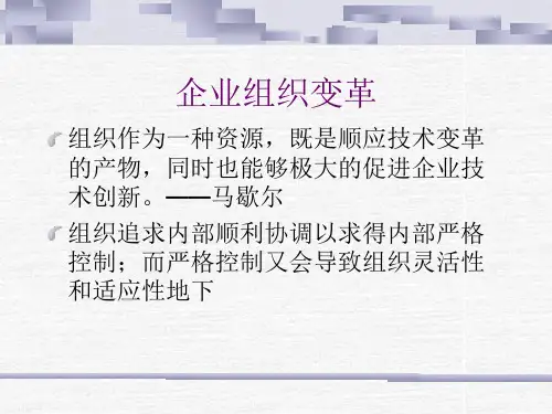第十章组织结构创新ppt课件