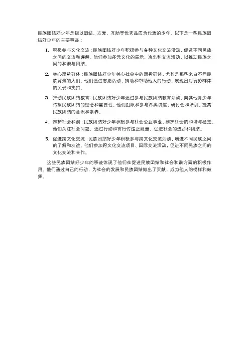 民族团结好少年主要事迹
