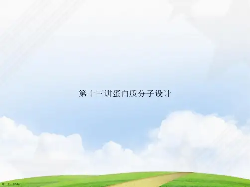 第十三讲蛋白质分子设计讲课文档
