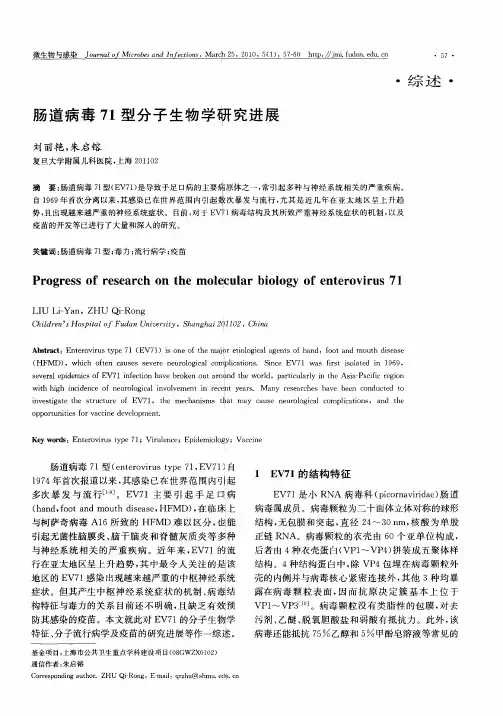 肠道病毒71型分子生物学研究进展