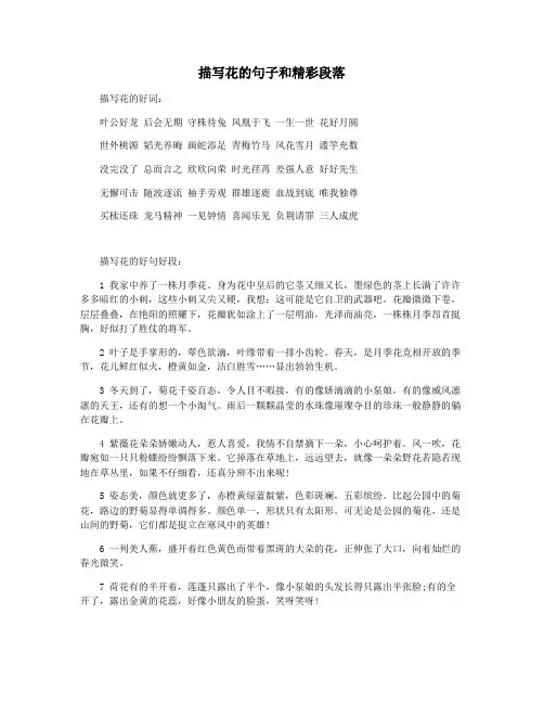 描写花的句子和精彩段落