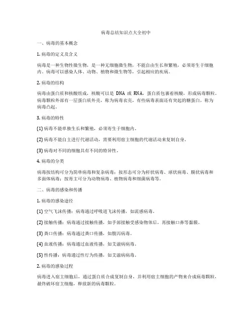 病毒总结知识点大全初中