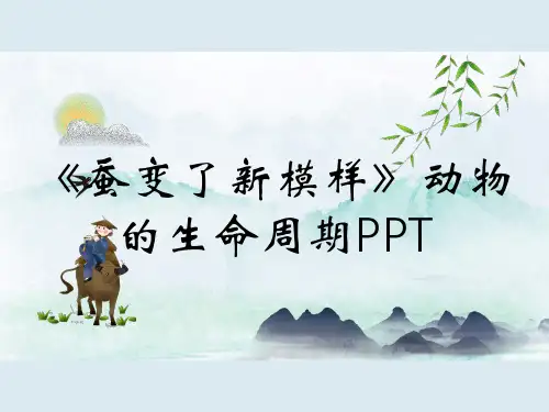 《蚕变了新模样》动物的生命周期PPT