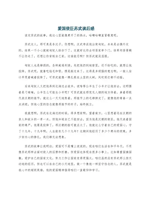 爱国使臣苏武读后感