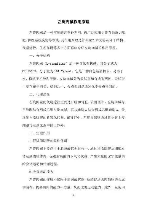 左旋肉碱作用原理