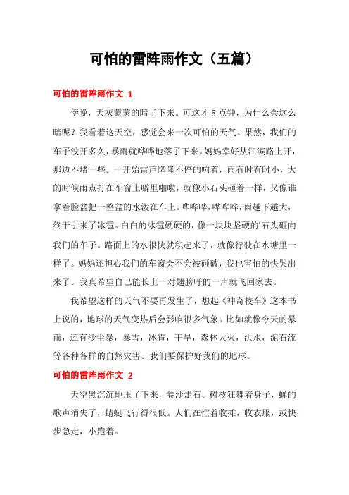 可怕的雷阵雨作文(五篇)