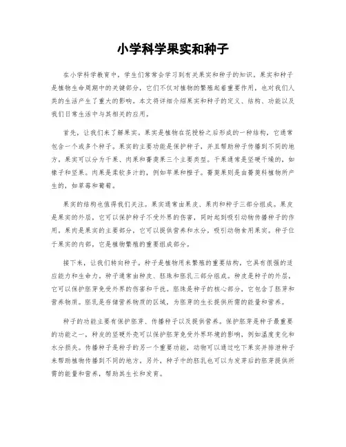 小学科学果实和种子
