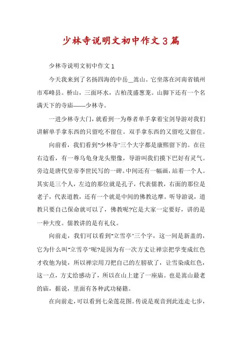少林寺说明文初中作文3篇