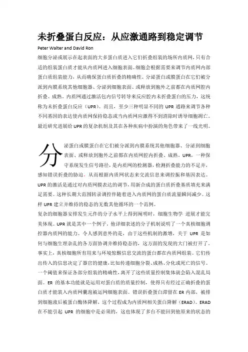 未折叠蛋白反应