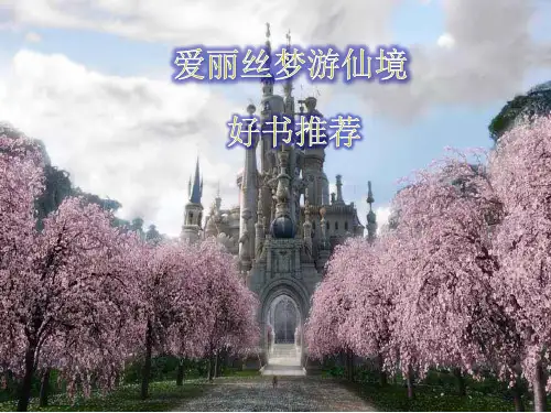 爱丽丝梦游仙境好书推荐