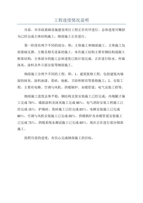 工程进度情况说明