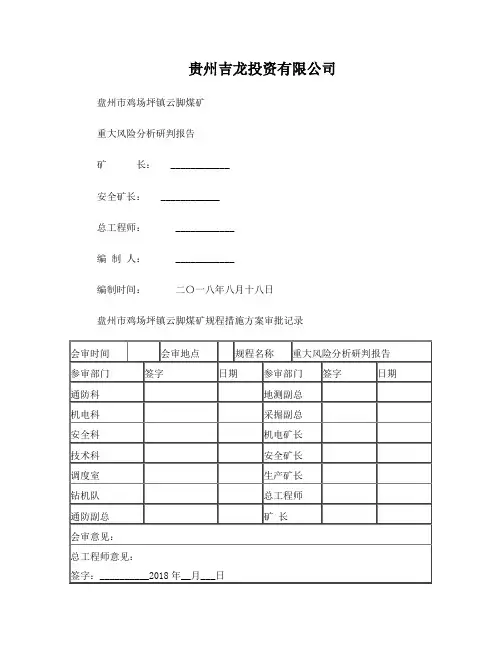 重大风险分析研判报告