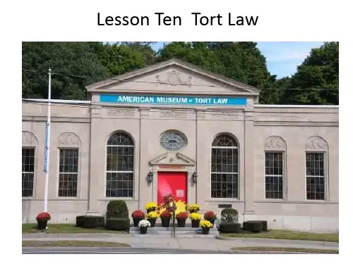 Lesson Ten Tort Law
