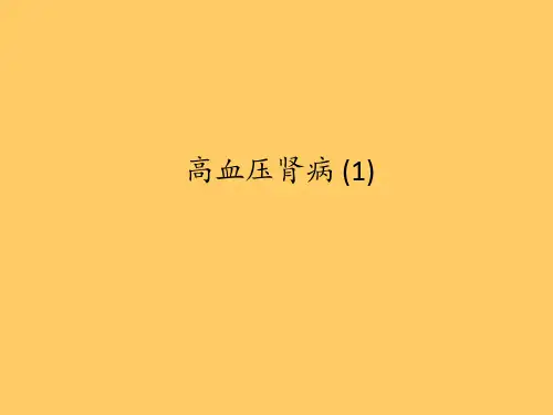 高血压肾病 (1)ppt课件