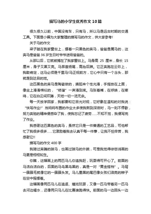 描写马的小学生优秀作文10篇
