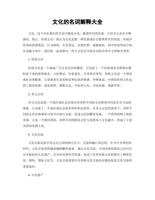 文化的名词解释大全
