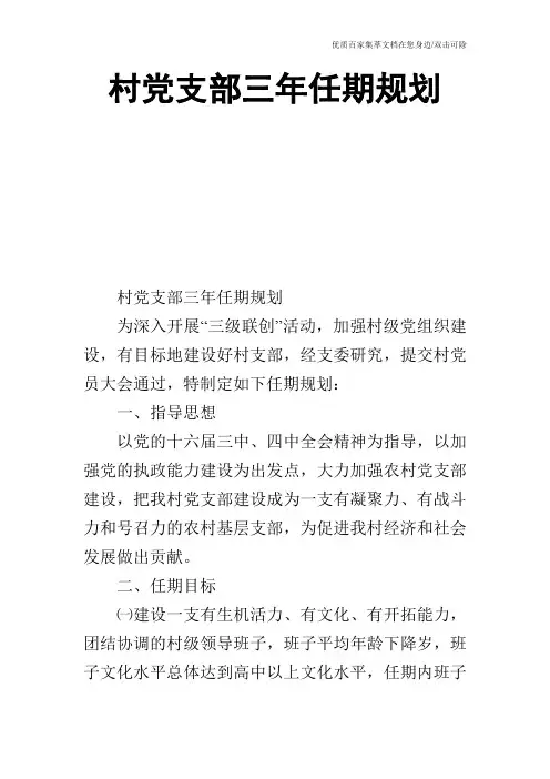 村党支部三年任期规划