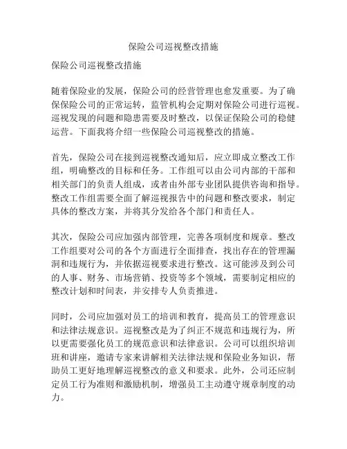 保险公司巡视整改措施