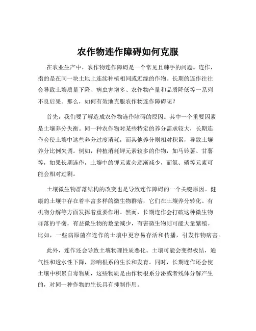 农作物连作障碍如何克服