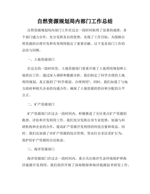 自然资源规划局内部门工作总结