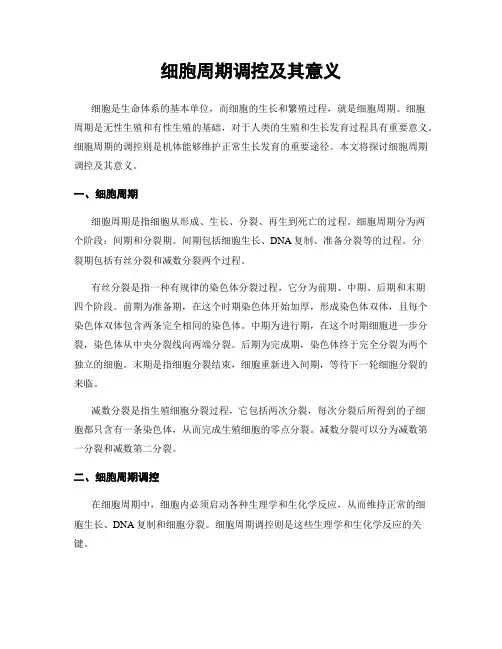 细胞周期调控及其意义