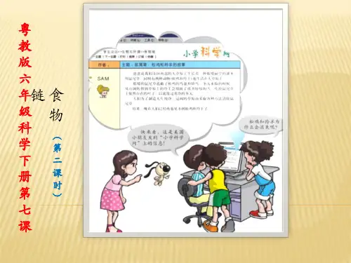 粤教版六年级科学上册 《食物链》(第二课时)