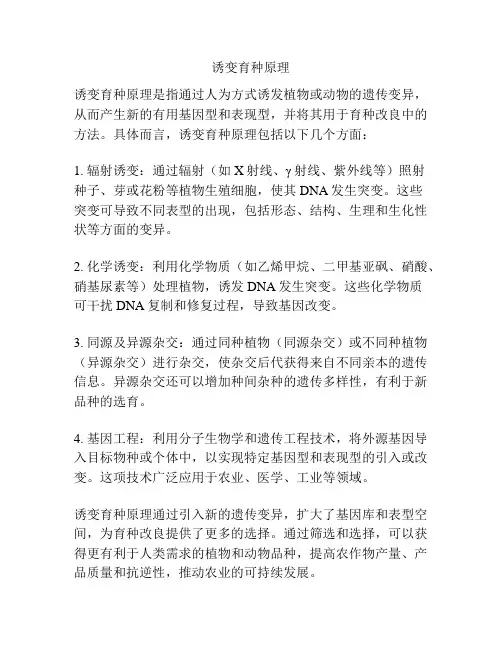 诱变育种原理