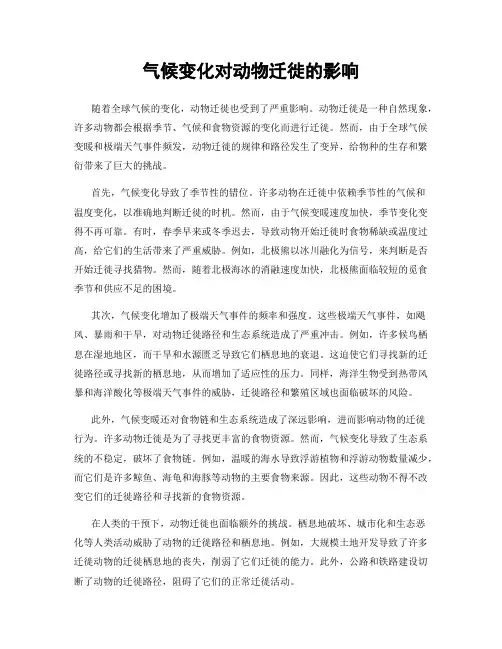 气候变化对动物迁徙的影响