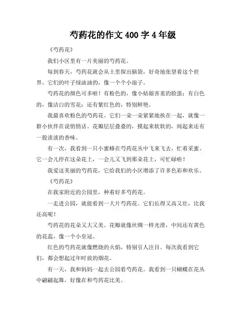 芍药花的作文400字4年级