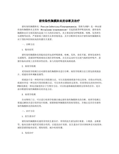 猪传染性胸膜肺炎的诊断及治疗