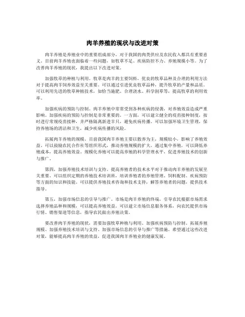肉羊养殖的现状与改进对策