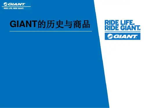 自行车系统简介