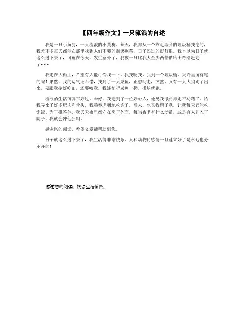 【四年级作文】一只流浪的自述