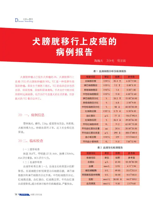 犬膀胱移行上皮癌的病例报告
