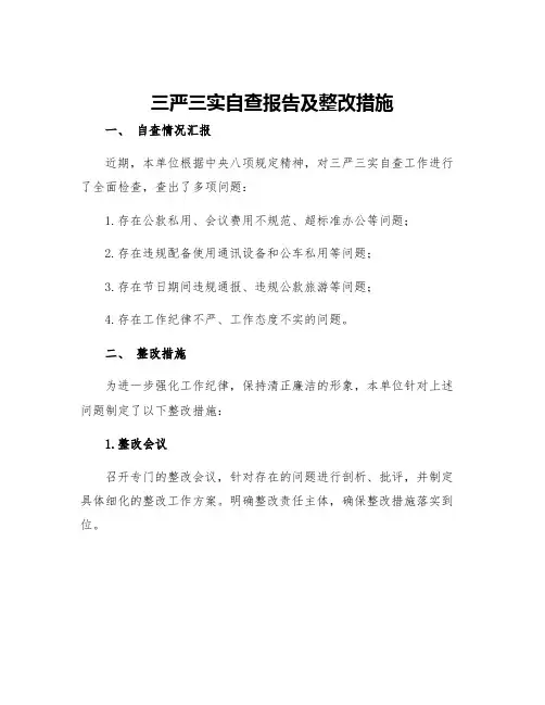 三严三实自查报告及整改措施