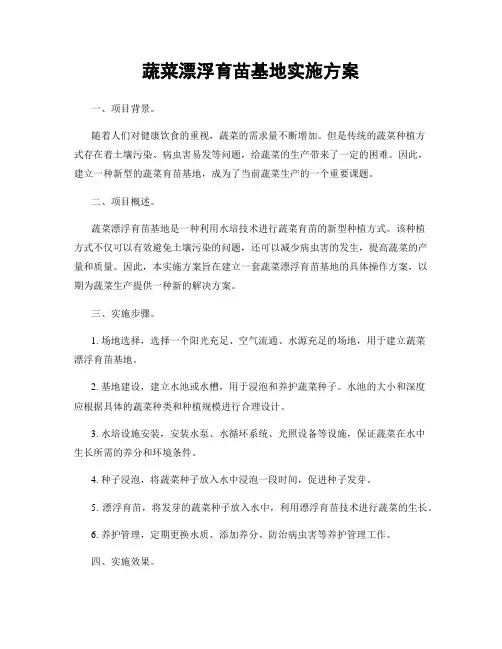 蔬菜漂浮育苗基地实施方案