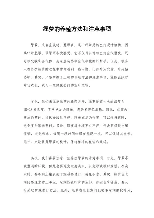 绿萝的养殖方法和注意事项