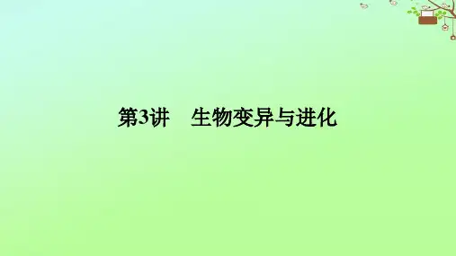 高考生物二轮专题复习 专题四 生命系统的遗传、变异、进化 第3讲 生物变异与进化