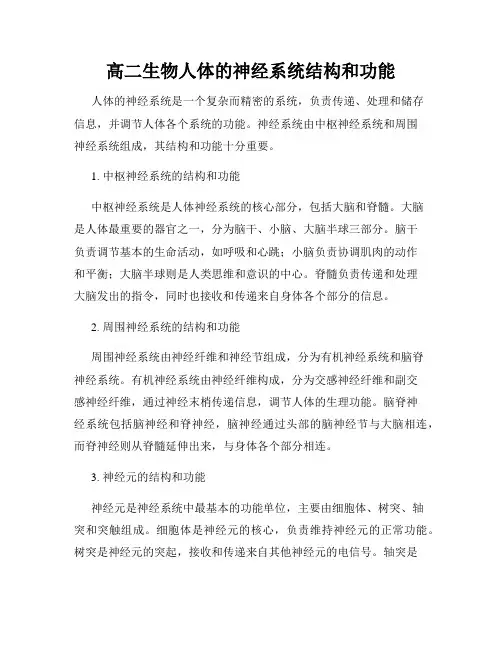 高二生物人体的神经系统结构和功能