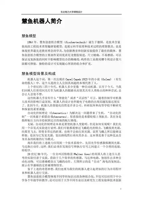 慧鱼