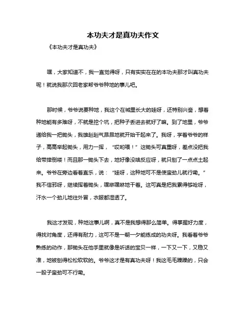 本功夫才是真功夫作文