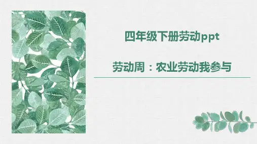 劳动周：农业劳动我参与(课件)------四年级劳动下册精品课件(人民版)2024