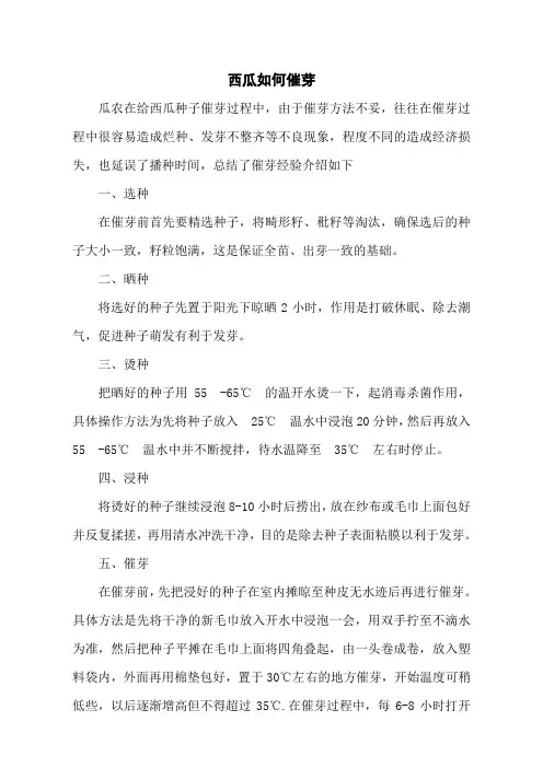 西瓜如何催芽