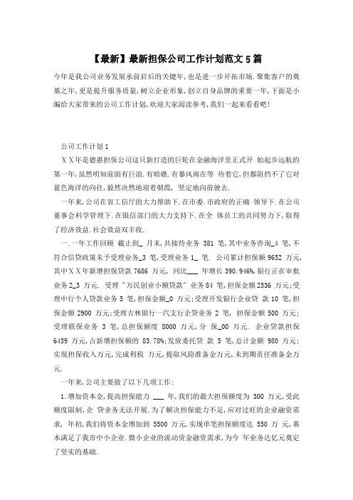 【最新】担保公司工作计划范文5篇
