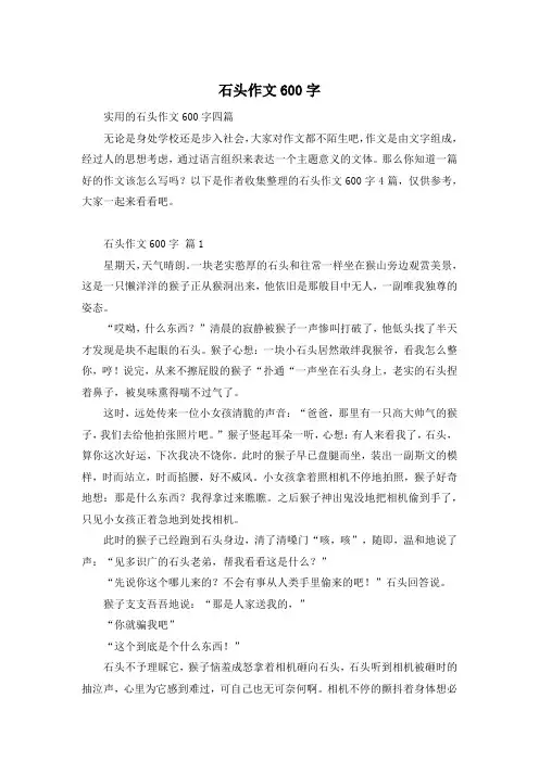 石头作文600字